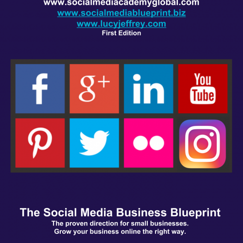 SOCIAL MEDIA BUSINESS BLUEPRINT (e-book) (5)